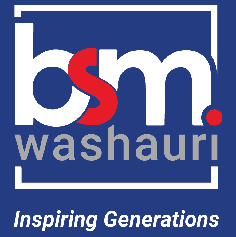 BSM Washauri (TZ) Ltd